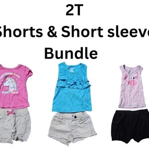 Garanimals Toddler Clothing Set - Pink, Blue, Gray